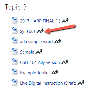 Users can select the Ally Alternative Formats icon to download alternative formats of a file posted in a course in OnCourse