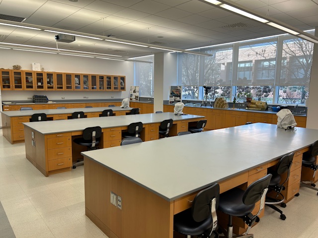 Back of the lab with student lab stations.