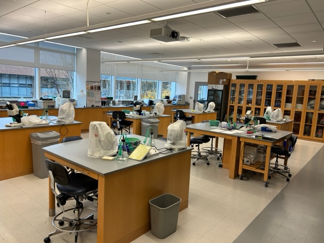 Back of the classroom with student lab stations