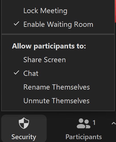 Zoom Security menu with chat and enable waiting room checked.