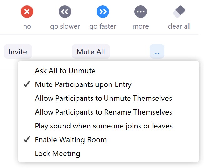 Mute all options with enable waiting room and mute participants upon entry checked.