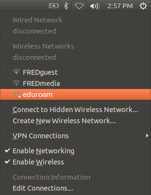 The dropdown menu for available Wireless Networks on a Linux device