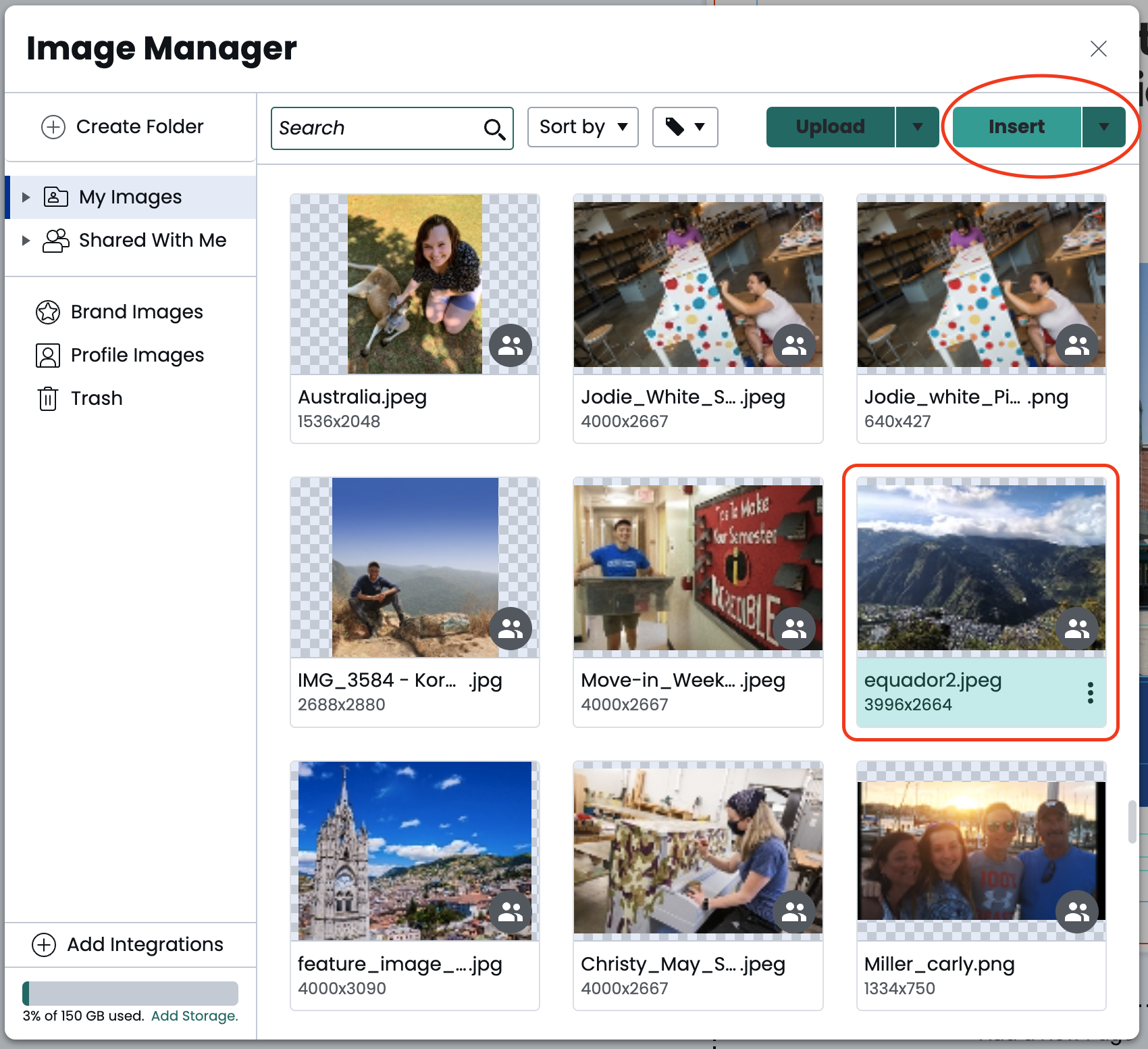 Screenshot of the Image Manager window highlighting an image selection and the insert button
