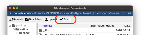 select file button