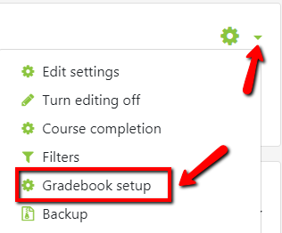 Locate the green gear icon on the upper right hand side of the page. From the drop-down menu, click the Gradebook Setup link