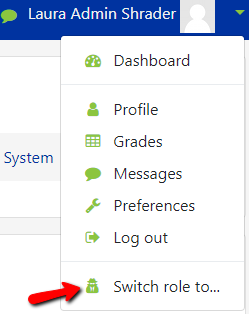 To the right of the profile picture is a drop-down menu.  Click on the drop-down menu and select Switch Roll To and then select student. This allows you to view your course from the student perspective.