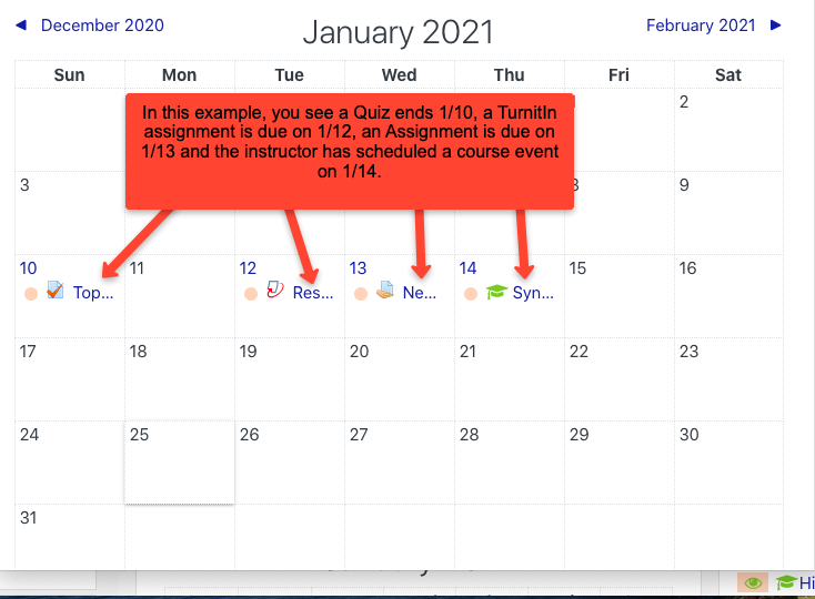 January 2021 calendar. This example highlights that a Quiz, Turnitin assignment and Assignment are due in January. The instructor has also scheduled a course event on January 14th. 