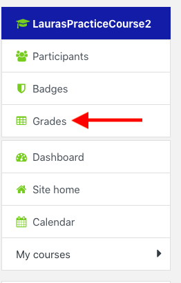 On the left side menu on the main course page there is a Grades link which takes students to the course Gradebook.